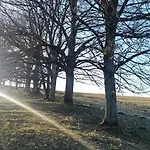 Apartman U Krbu *